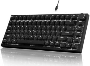 YINDIAO Ajazz AK820 Teclado Mecánico con Perilla,Diseño 75% ANSI,82 Teclas,Teclado para Juegos con Cable,5 Espumas Absorbentes de Sonido,Hot-Swap,Interruptor Rojo,Luz Blanca Hielo,para PC,Mac (Negro)